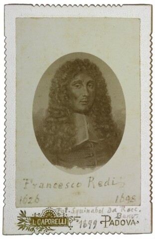 Anteprima dell'oggetto