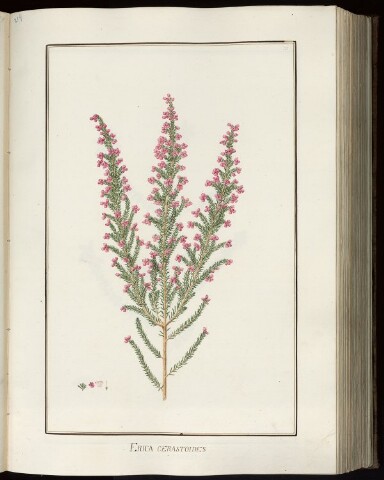 Anteprima dell'oggetto