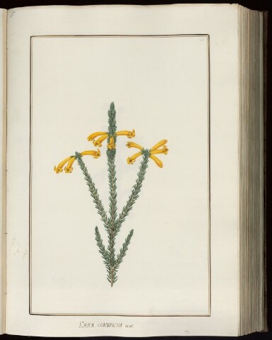 Anteprima dell'oggetto