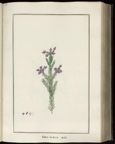 Anteprima dell'oggetto