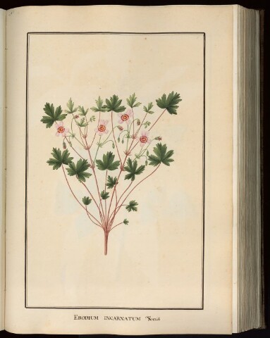 Anteprima dell'oggetto