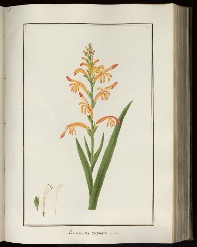 Anteprima dell'oggetto