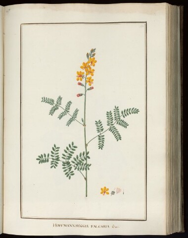 Anteprima dell'oggetto