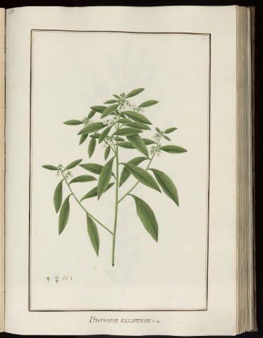 Anteprima dell'oggetto