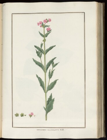 Anteprima dell'oggetto