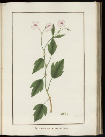 Anteprima dell'oggetto