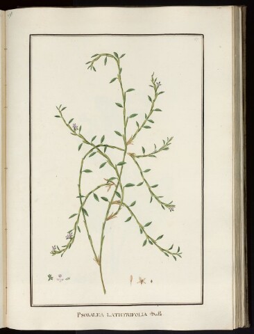 Anteprima dell'oggetto