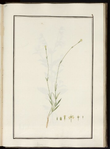 Anteprima dell'oggetto