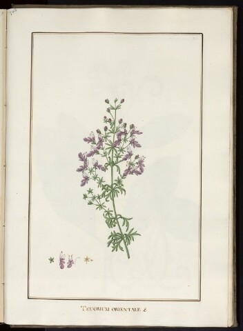 Anteprima dell'oggetto