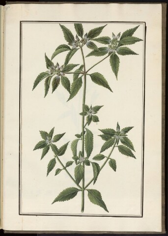 Anteprima dell'oggetto