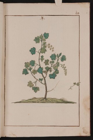 Anteprima dell'oggetto