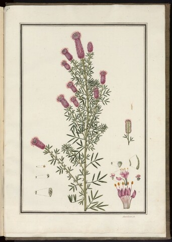 Anteprima dell'oggetto