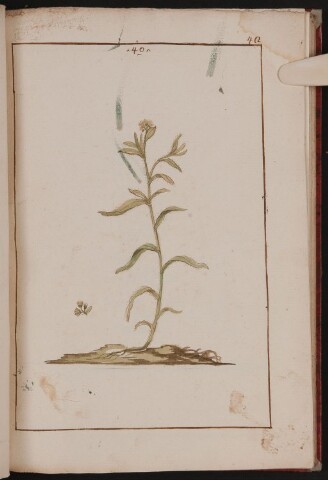 Anteprima dell'oggetto