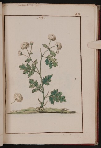 Anteprima dell'oggetto