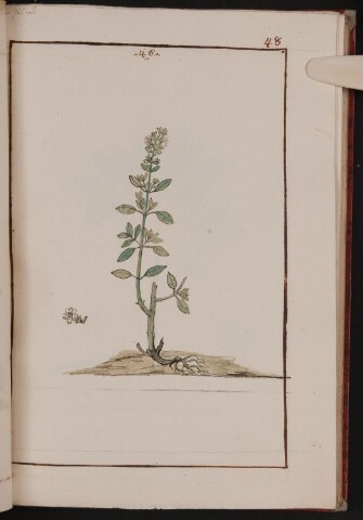 Anteprima dell'oggetto