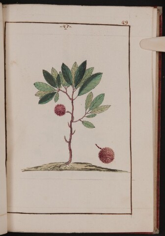 Anteprima dell'oggetto