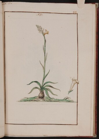 Anteprima dell'oggetto