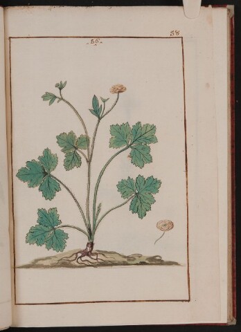 Anteprima dell'oggetto