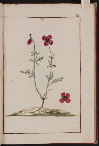 Anteprima dell'oggetto