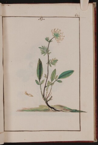 Anteprima dell'oggetto