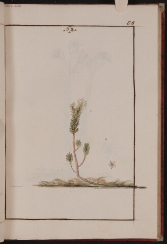 Anteprima dell'oggetto