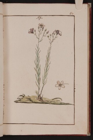 Anteprima dell'oggetto