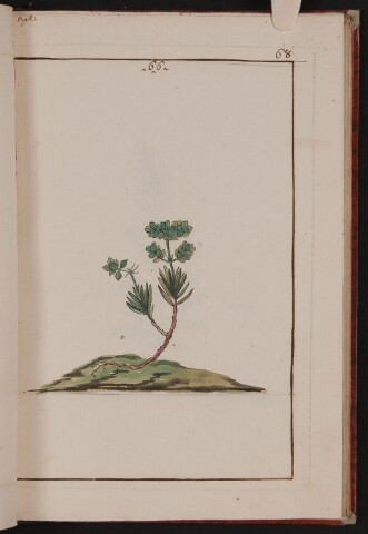 Anteprima dell'oggetto