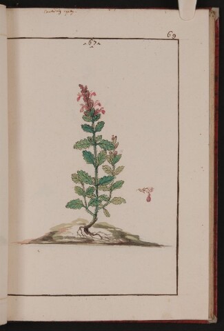 Anteprima dell'oggetto