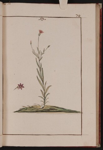 Anteprima dell'oggetto