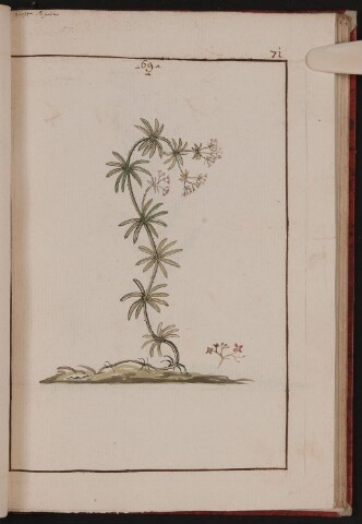 Anteprima dell'oggetto