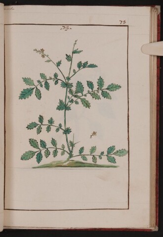 Anteprima dell'oggetto