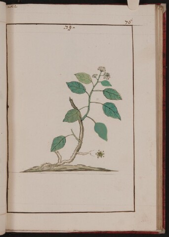 Anteprima dell'oggetto