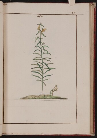 Anteprima dell'oggetto