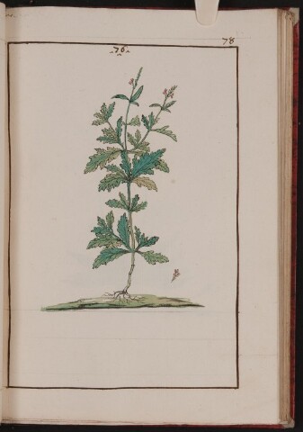 Anteprima dell'oggetto