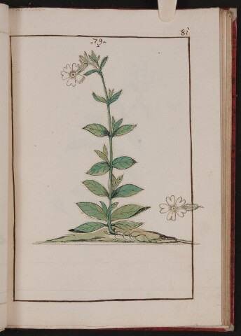 Anteprima dell'oggetto