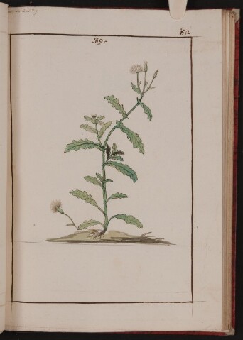 Anteprima dell'oggetto