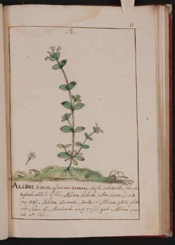 Anteprima dell'oggetto