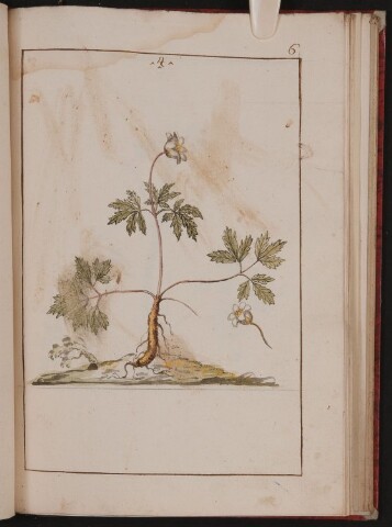 Anteprima dell'oggetto