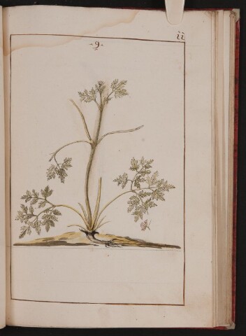 Anteprima dell'oggetto