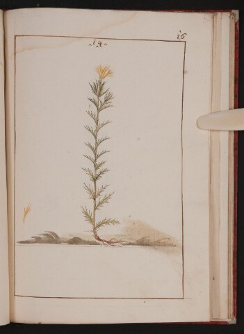 Anteprima dell'oggetto