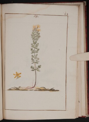 Anteprima dell'oggetto