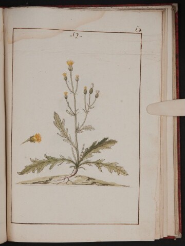 Anteprima dell'oggetto