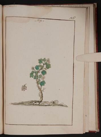 Anteprima dell'oggetto