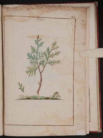 Anteprima dell'oggetto