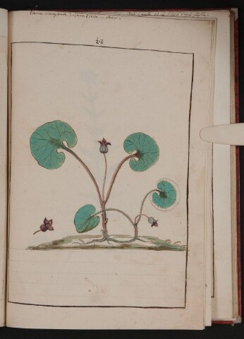 Anteprima dell'oggetto