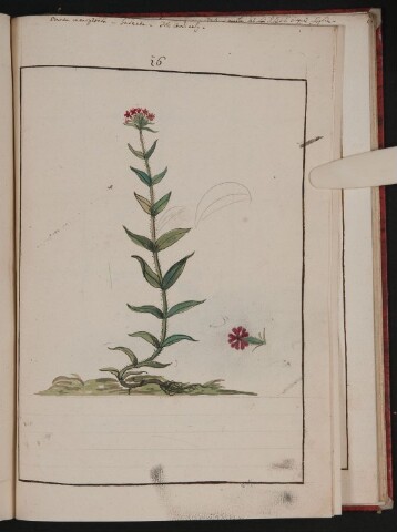 Anteprima dell'oggetto