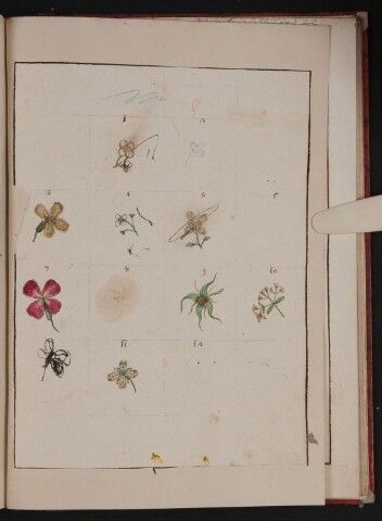 Anteprima dell'oggetto