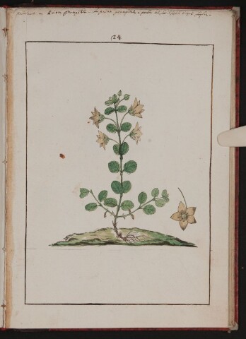 Anteprima dell'oggetto