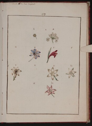 Anteprima dell'oggetto