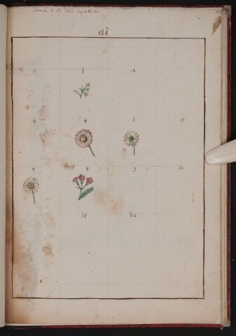 Anteprima dell'oggetto